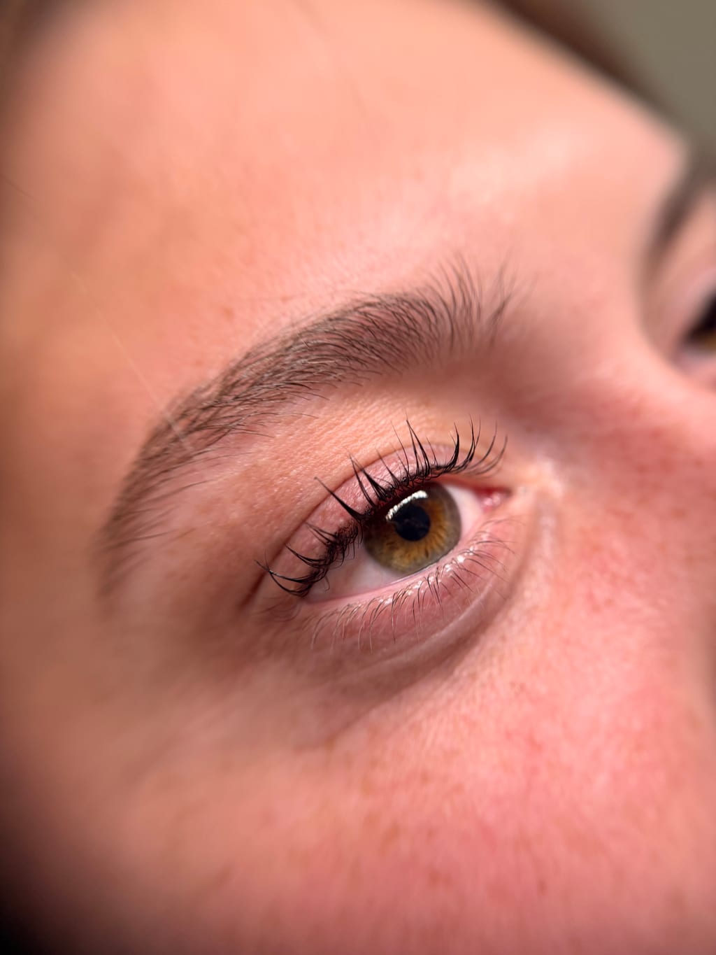 Close-up of an eye with lifted natural lashes.